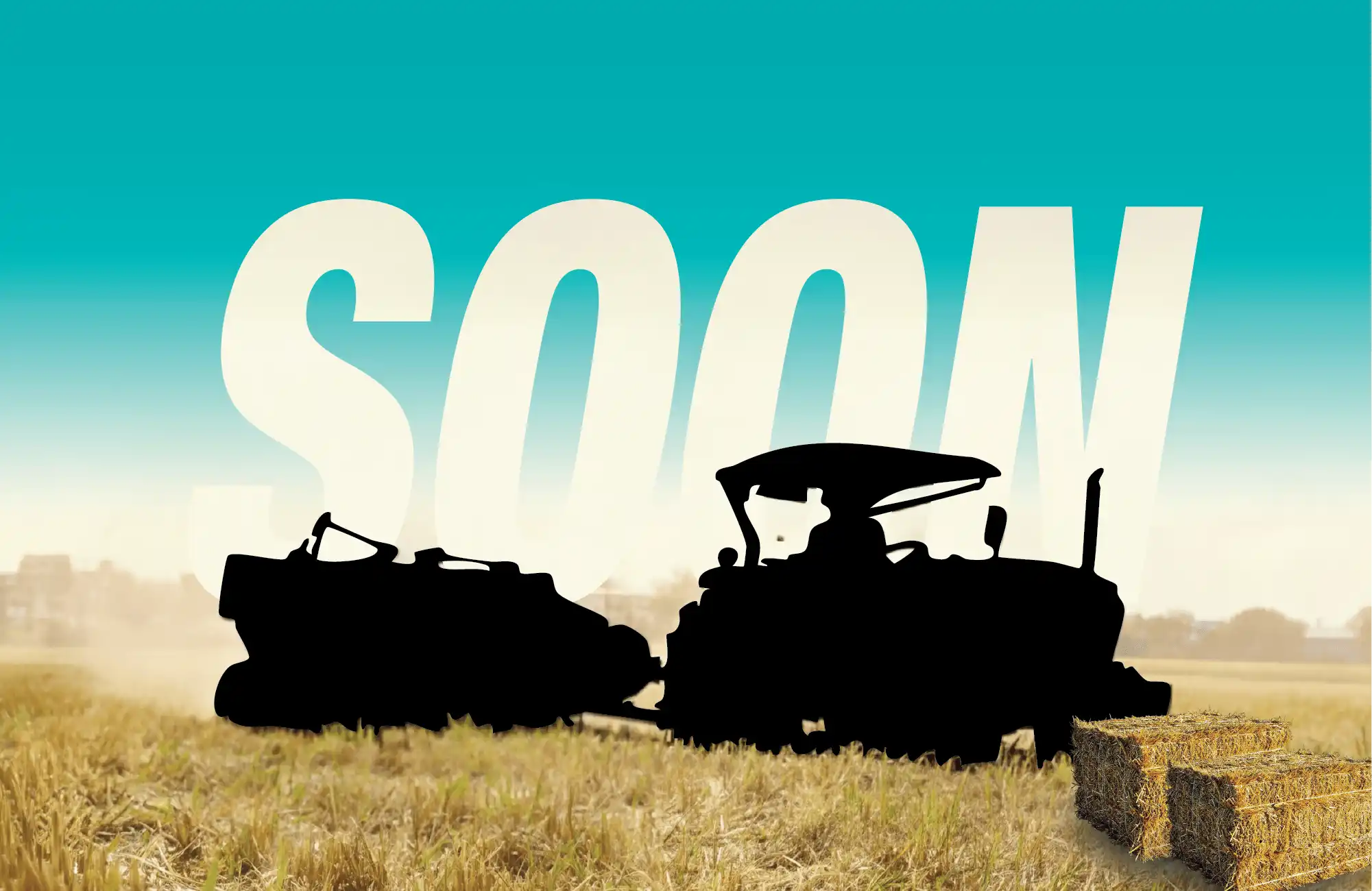 WEBSITE CAROUSEL FOR MOBILE